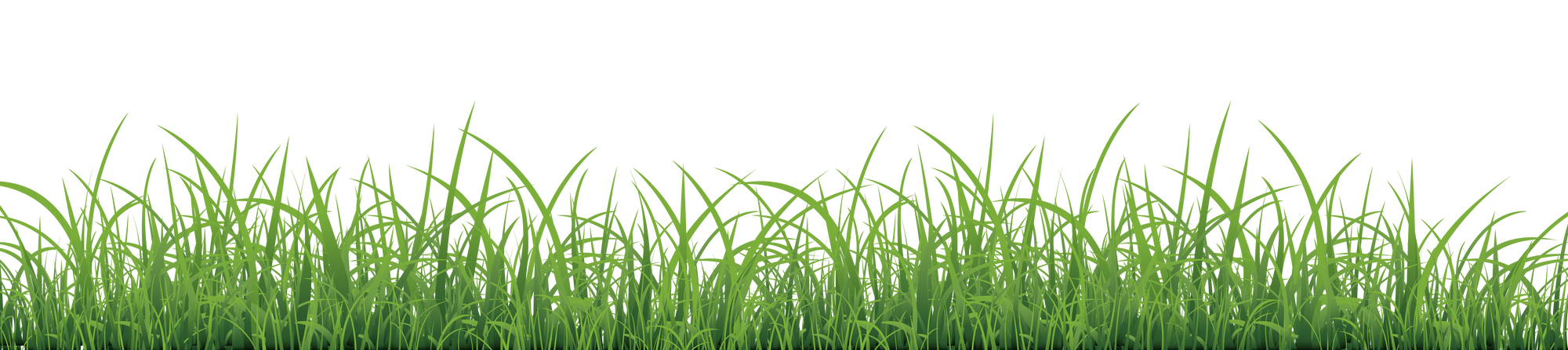 Green grass